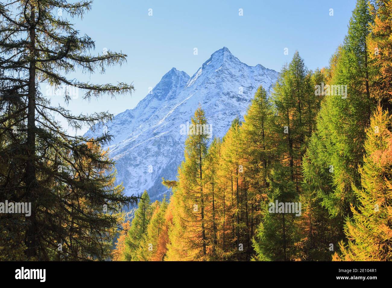 Arolla Valley, Dents de Veisivi, Val d'Hérens, Wallis, Schweiz, Europa Stockfoto