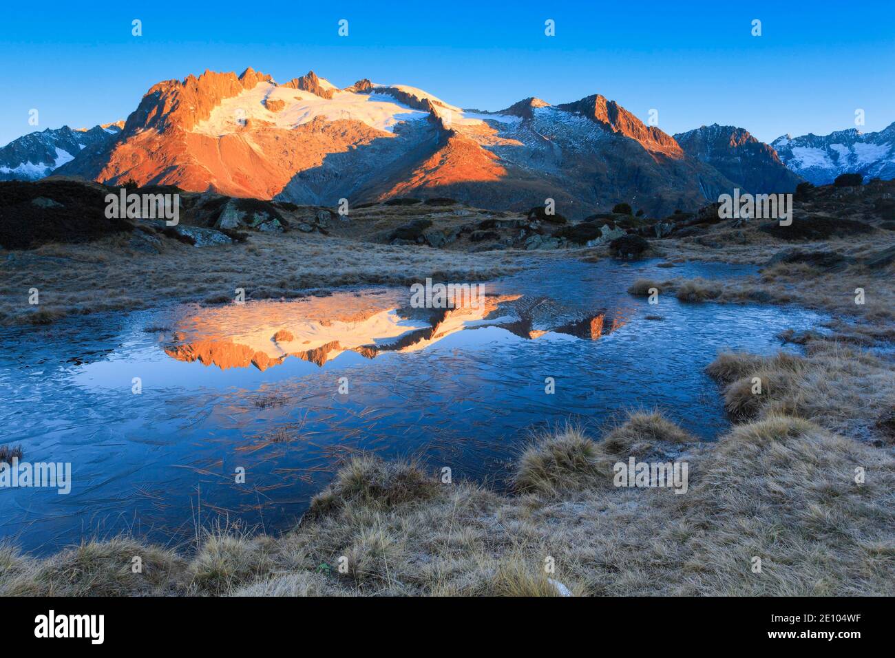 Region Aletsch, Wallis, Schweiz, Europa Stockfoto