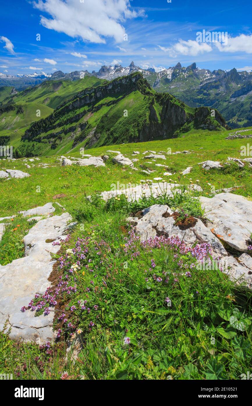Schweizer Alpen mit Chaiserststock, Fulen und Rossstock, Schweiz, Europa Stockfoto