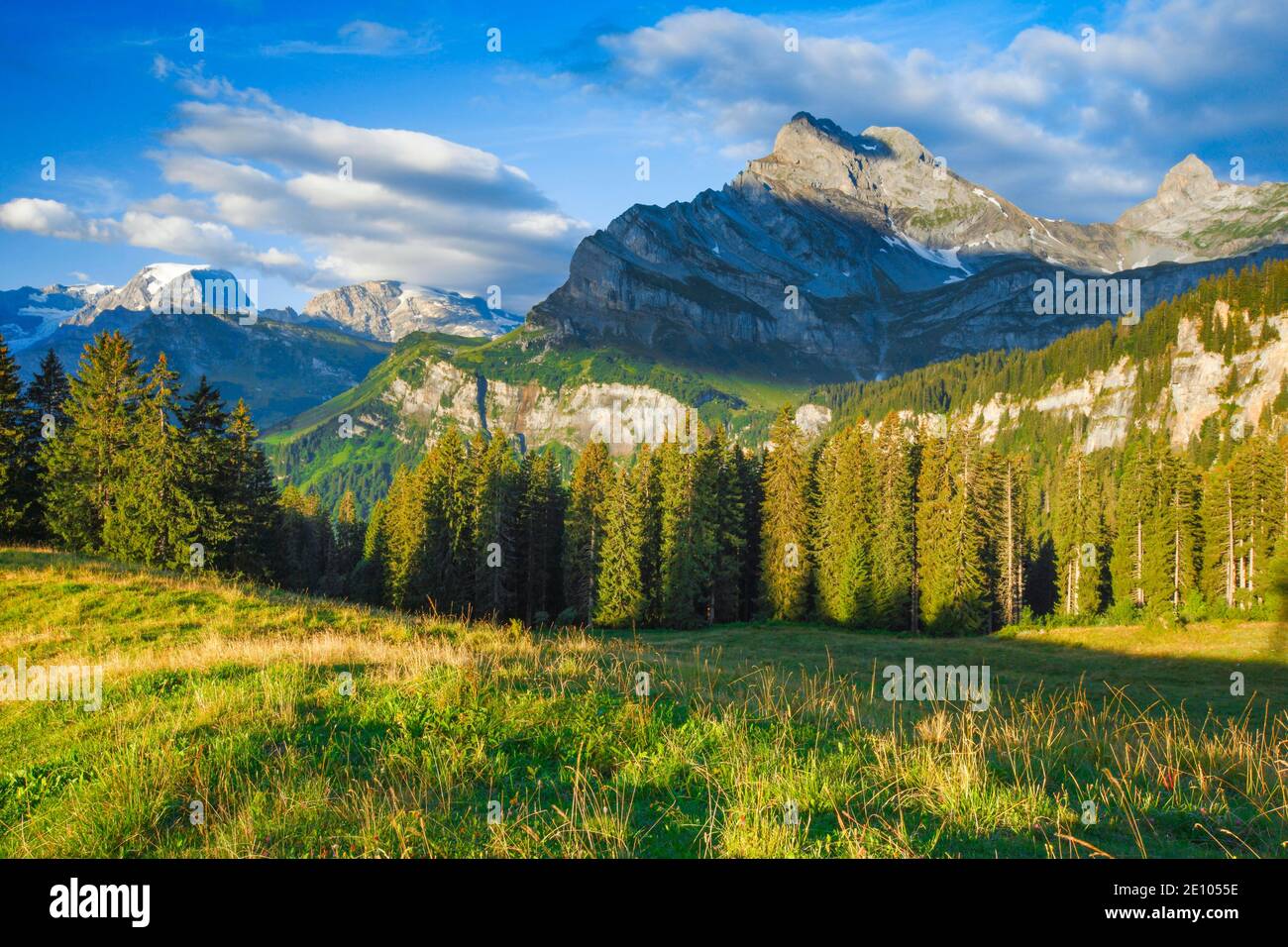 Ortstock und Tödi, Glarus, Schweiz, Europa Stockfoto