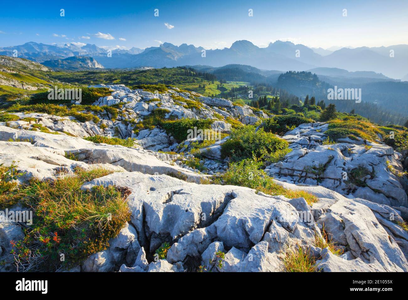 Karstlandschaft am Pragelpass, Schwyz, Schweiz, Europa Stockfoto