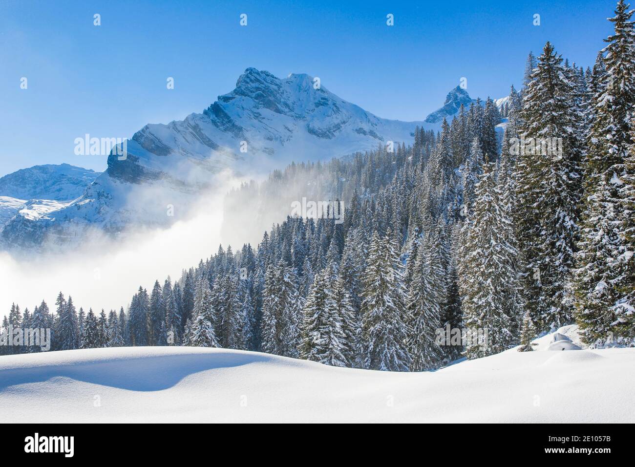 Ortstock, Glarner Alpen, Schweiz, Europa Stockfoto