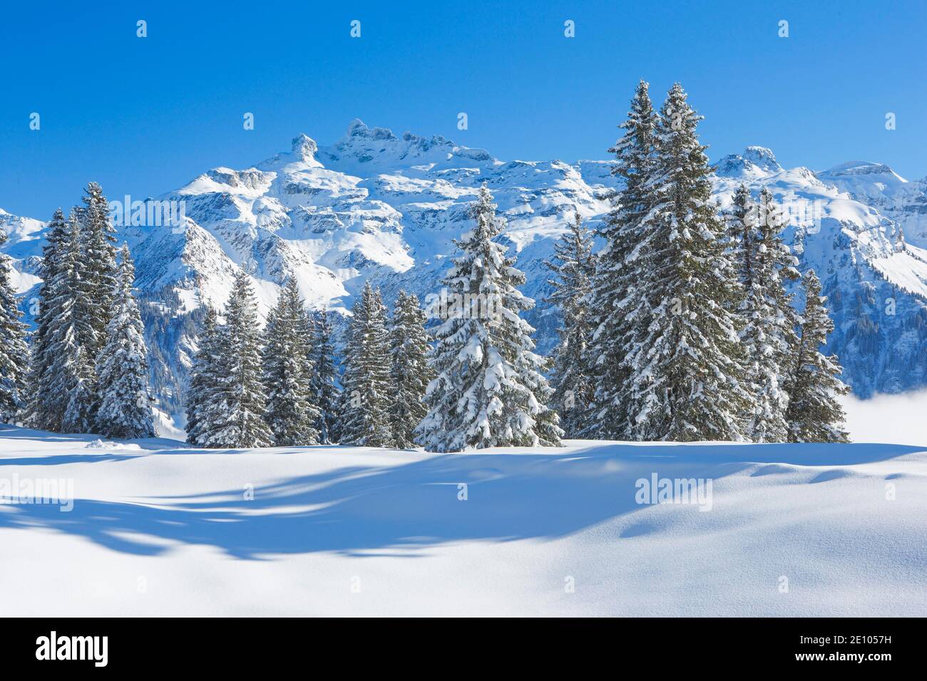 Freiberge Kärpf, Glarner Alpen, Schweiz, Europa Stockfoto