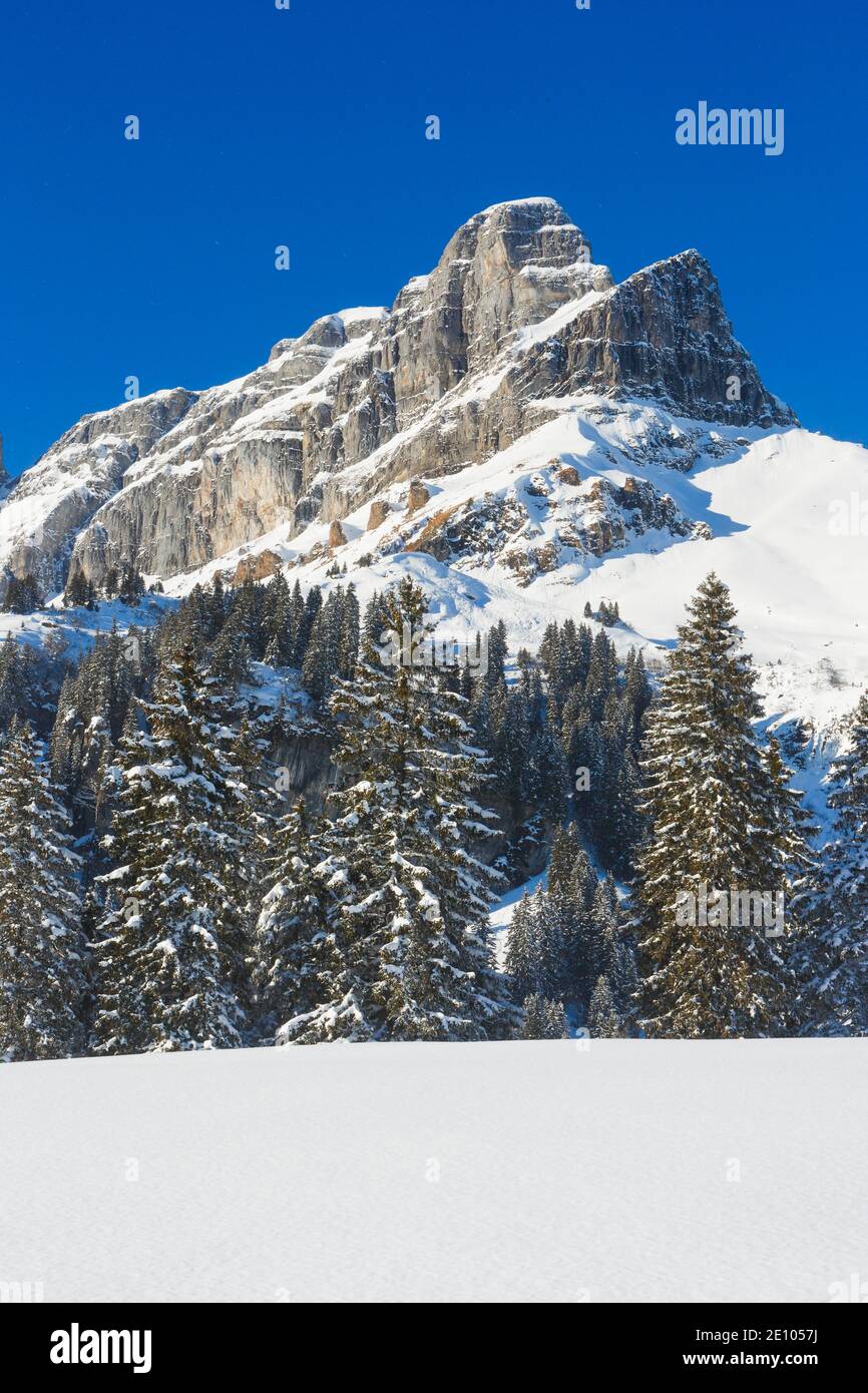 Eggstöcke, Glarus, Schweiz, Europa Stockfoto