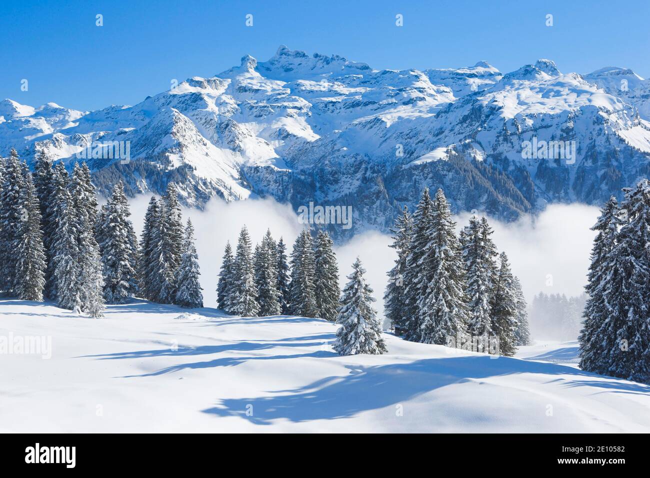 Freiberge Kärpf, Glarner Alpen, Schweiz, Europa Stockfoto