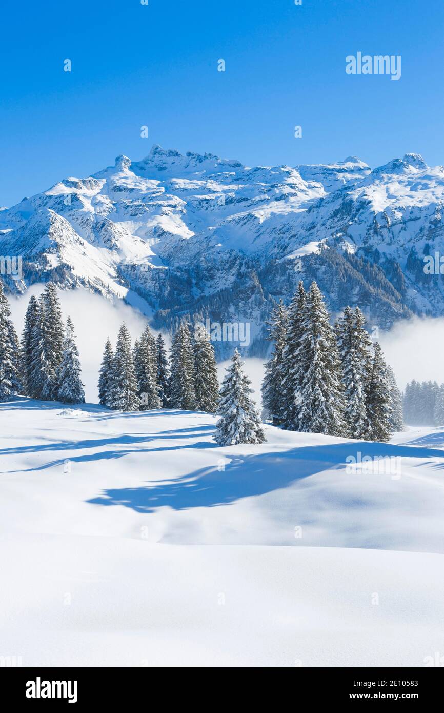 Freiberge Kärpf, Glarner Alpen, Schweiz, Europa Stockfoto