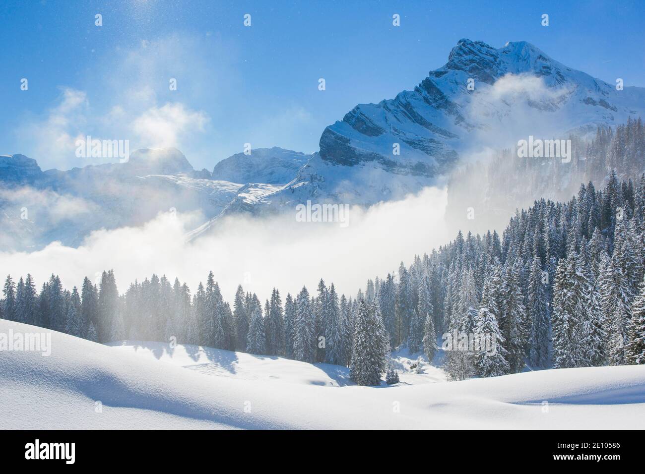 Ortstock und Tödi, Glarner Alpen, Schweiz, Europa Stockfoto