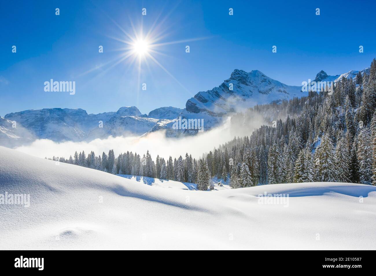 Ortstock und Tödi, Glarner Alpen, Schweiz, Europa Stockfoto