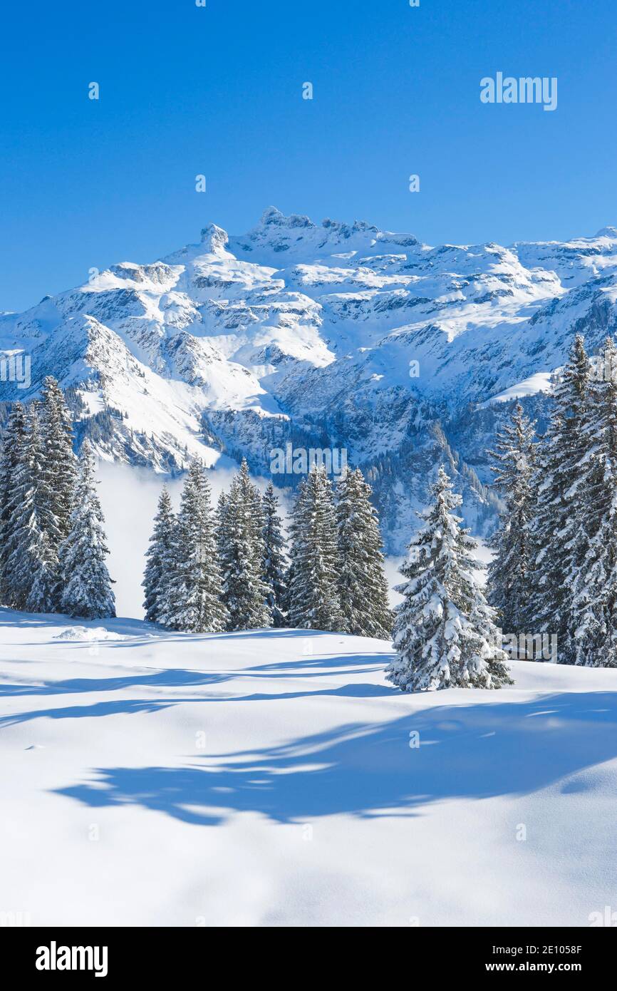 Freiberge Kärpf, Glarner Alpen, Schweiz, Europa Stockfoto