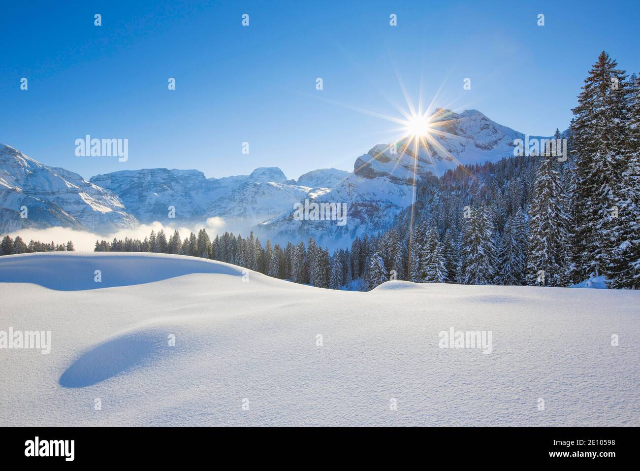 Ortstock und Tödi, Glarner Alpen, Schweiz, Europa Stockfoto