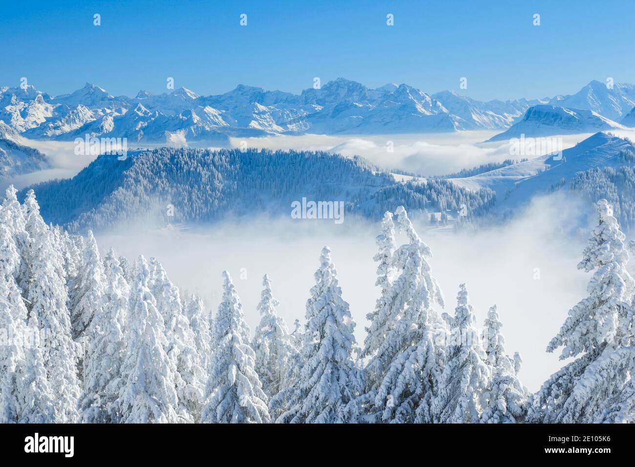Blick von der Rigi, Schweiz, Europa Stockfoto
