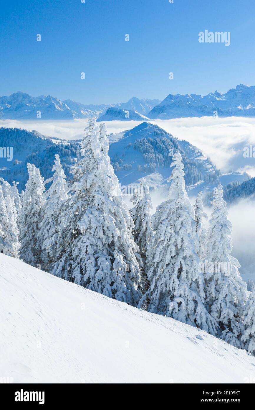 Blick von der Rigi, Schweiz, Europa Stockfoto