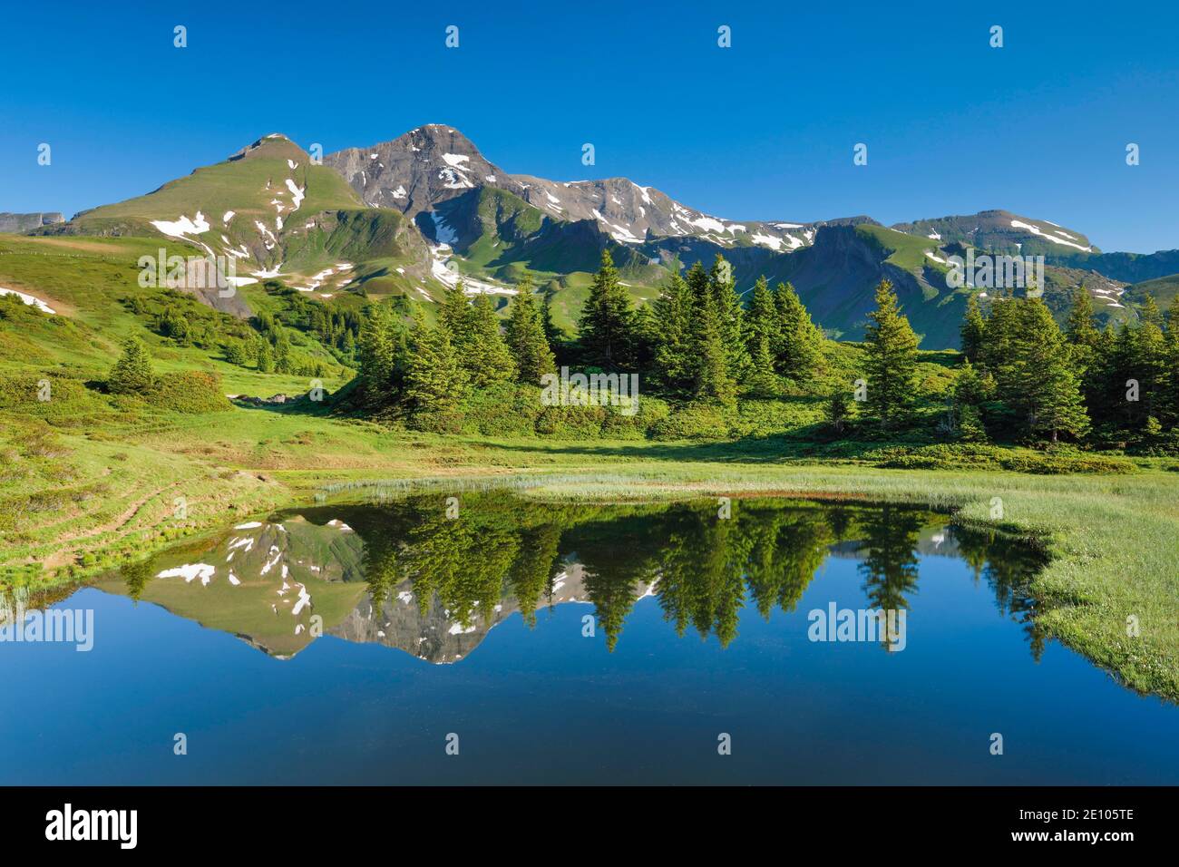 Chalberboden Blick auf Schwarzhorn, Bern, Schweiz, Europa Stockfoto