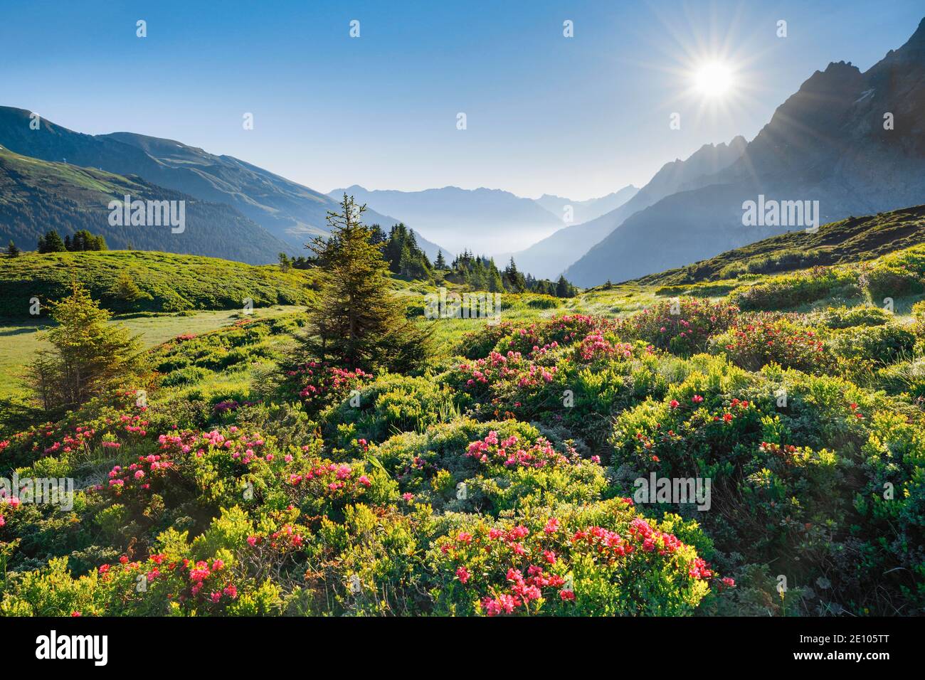 Sunrise Chalberboden, Bern, Schweiz, Europa Stockfoto