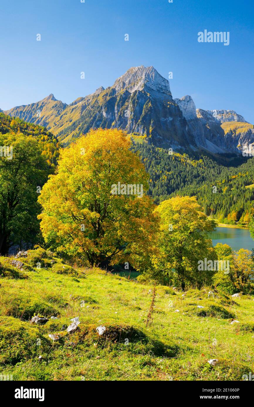 Obersee, Brünnelistock, 2133m, Glarus, Schweiz, Europa Stockfoto