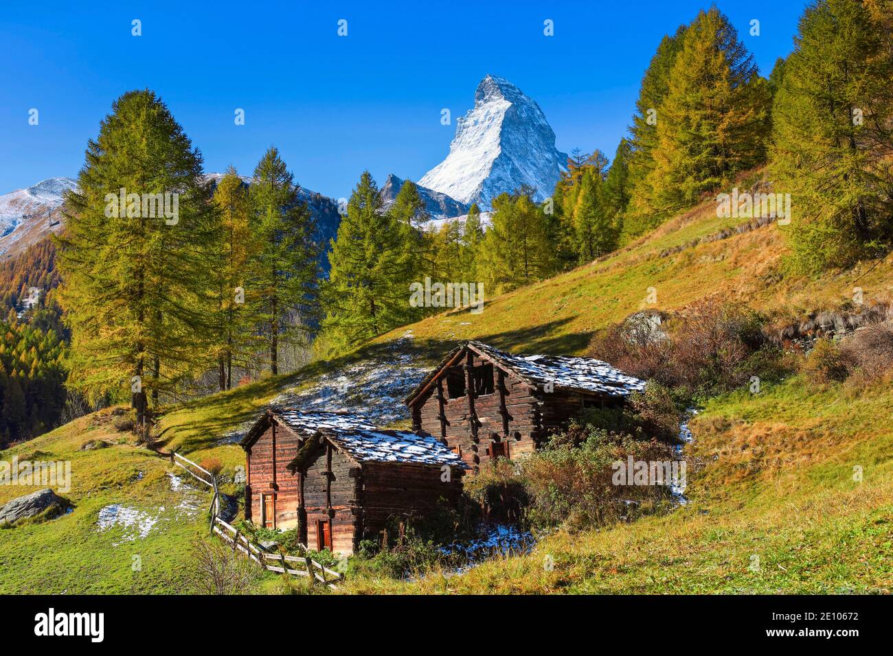 Matterhorn und Lärche, Wallis, Schweiz, Europa Stockfoto