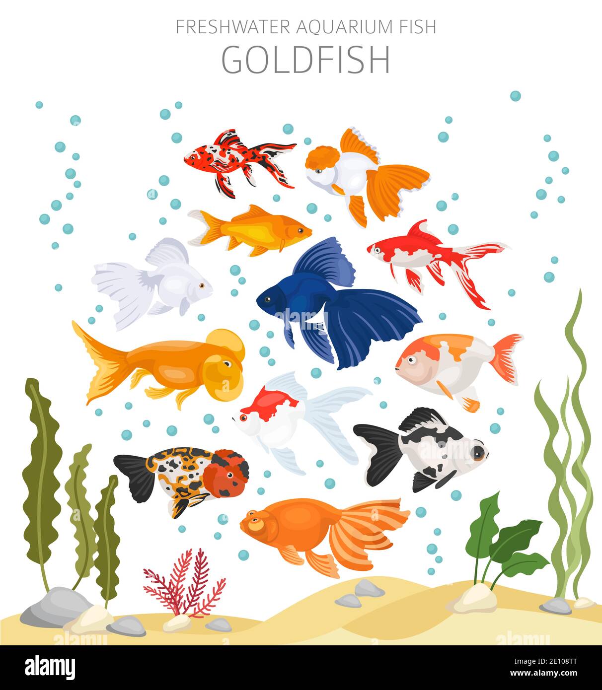 Goldfisch. Süßwasseraquarium Fisch Symbol Set flach Stil isoliert auf weiß. Vektorgrafik Stock Vektor