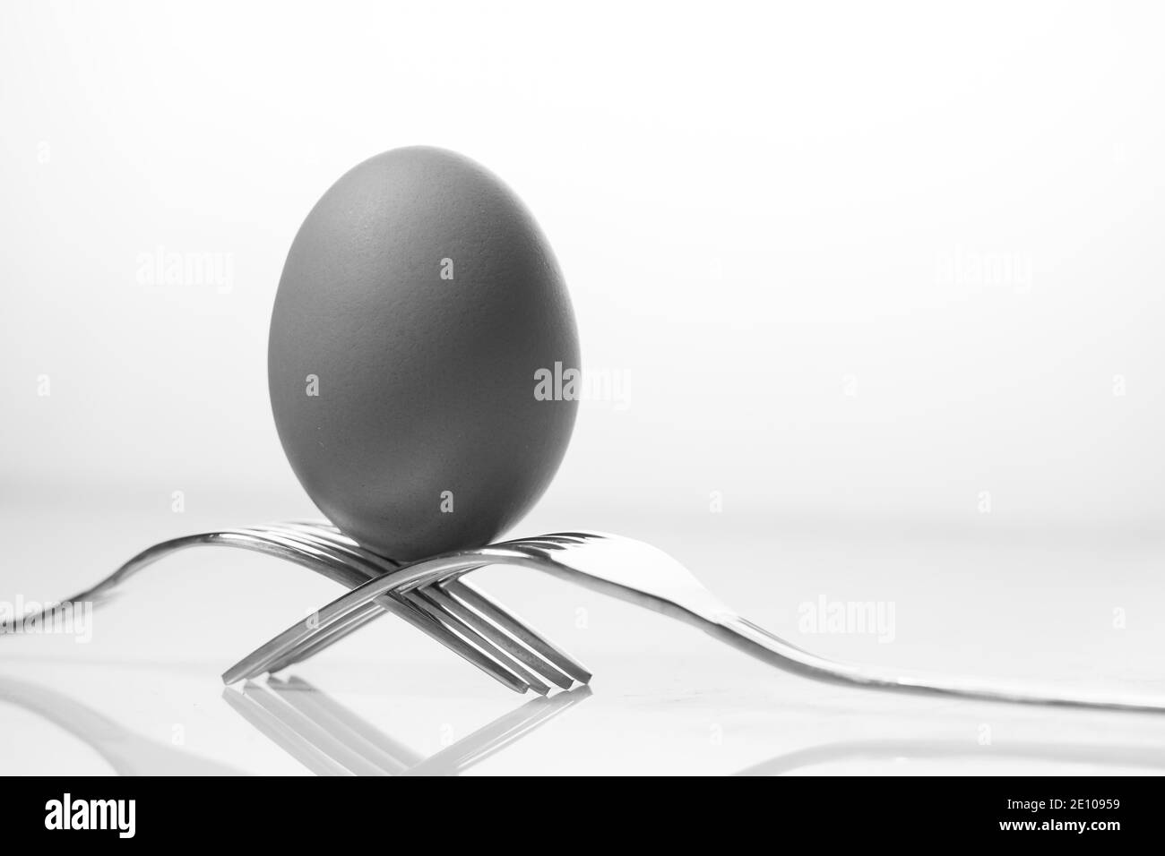 Huhn Eier Schwarzweiß Stockfotos und  bilder   Alamy