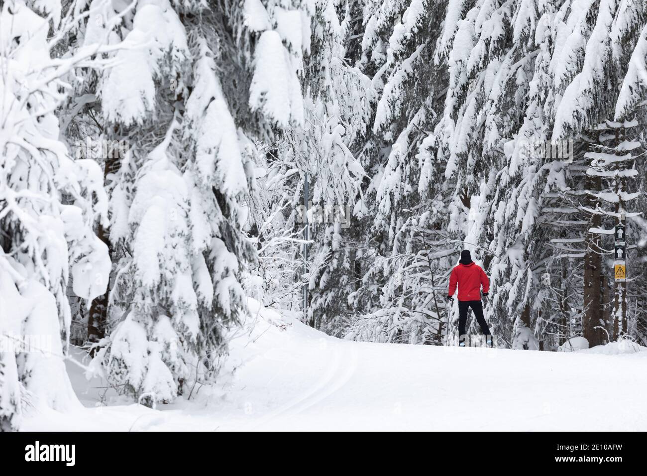 Oberried, Deutschland. Januar 2021. Ein Langlaufläufer fährt durch den verschneiten Wald im sogenannten Haldenspur nahe dem Haldenköpfle. Viele nutzen den letzten Tag des langen Neujahrswochenendes für einen Ausflug in den verschneiten Schwarzwald. Quelle: Philipp von Ditfurth/dpa/Alamy Live News Stockfoto