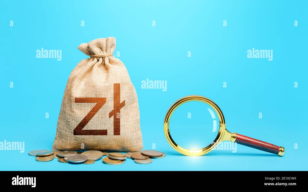 Polnischer Zloty Geldbeutel und Lupe. Herkunft der Kapitalfonds. Das Budget zu überarbeiten, um Geld zu sparen. Finanzauditkontrolle. Günstigste Bedingungen Stockfoto