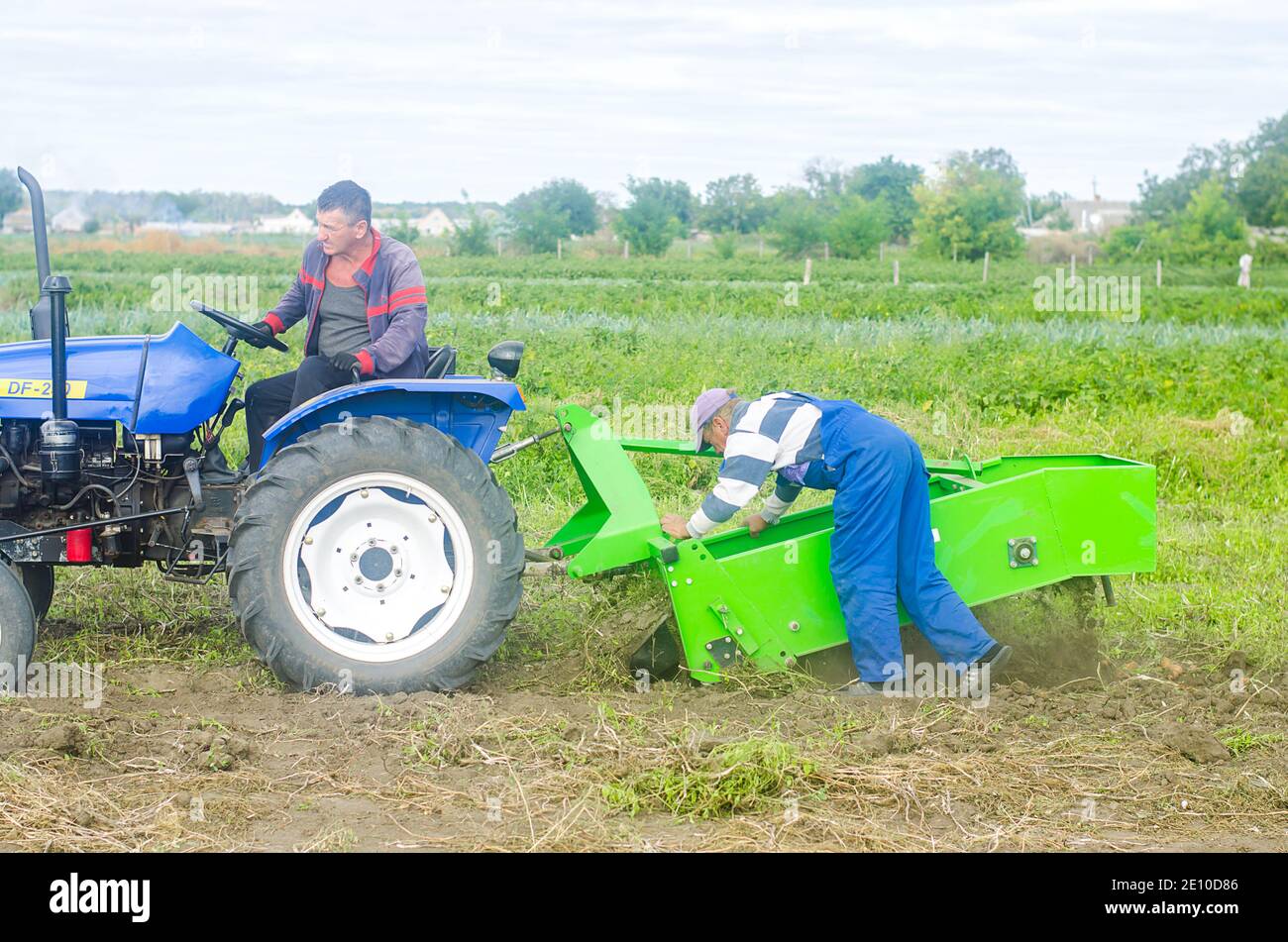 CHERSON OBLAST, UKRAINE - 19. September 2020: Zwei Bauern auf einem Traktor ernten Kartoffeln. Ernte von Wurzelpflanzen. Die Verwendung von Landmaschinen und Stockfoto
