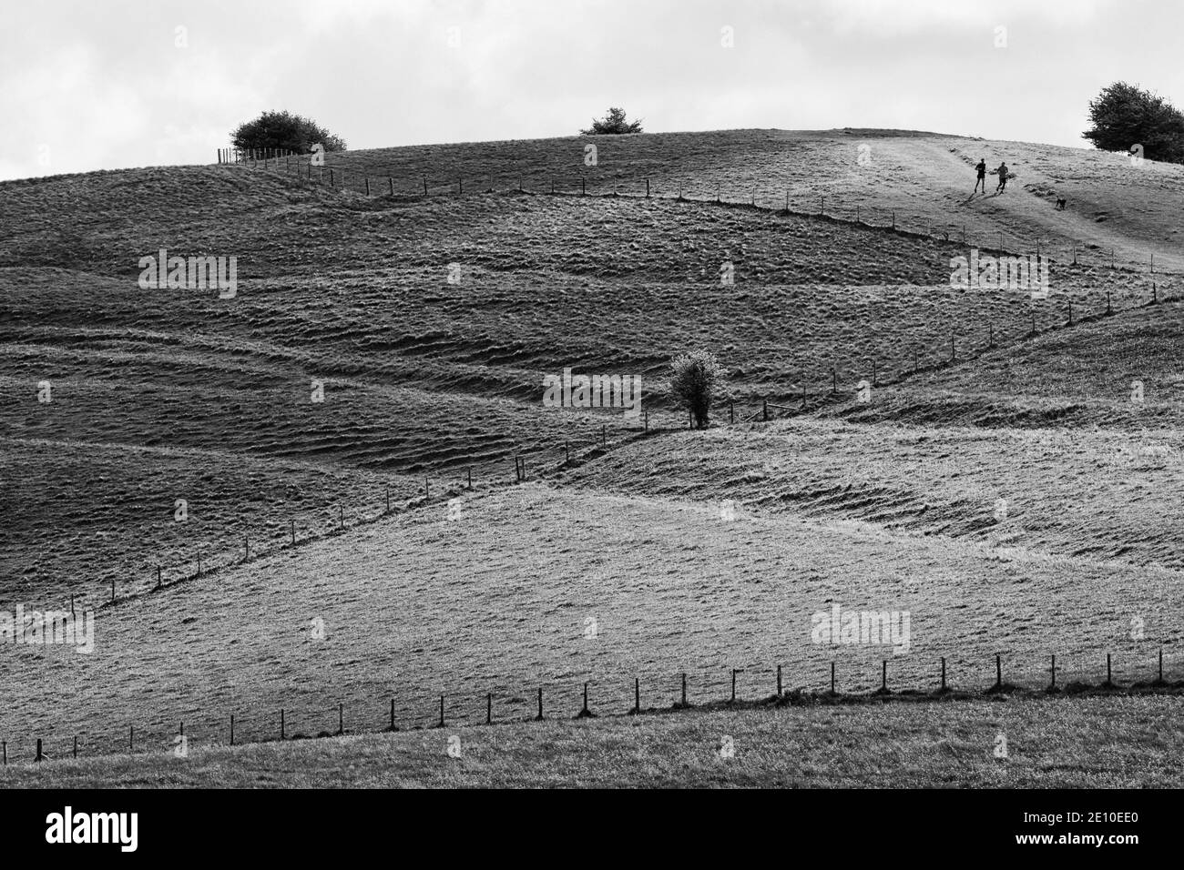 Joggen auf den Hügeln von Wiltshire Stockfoto