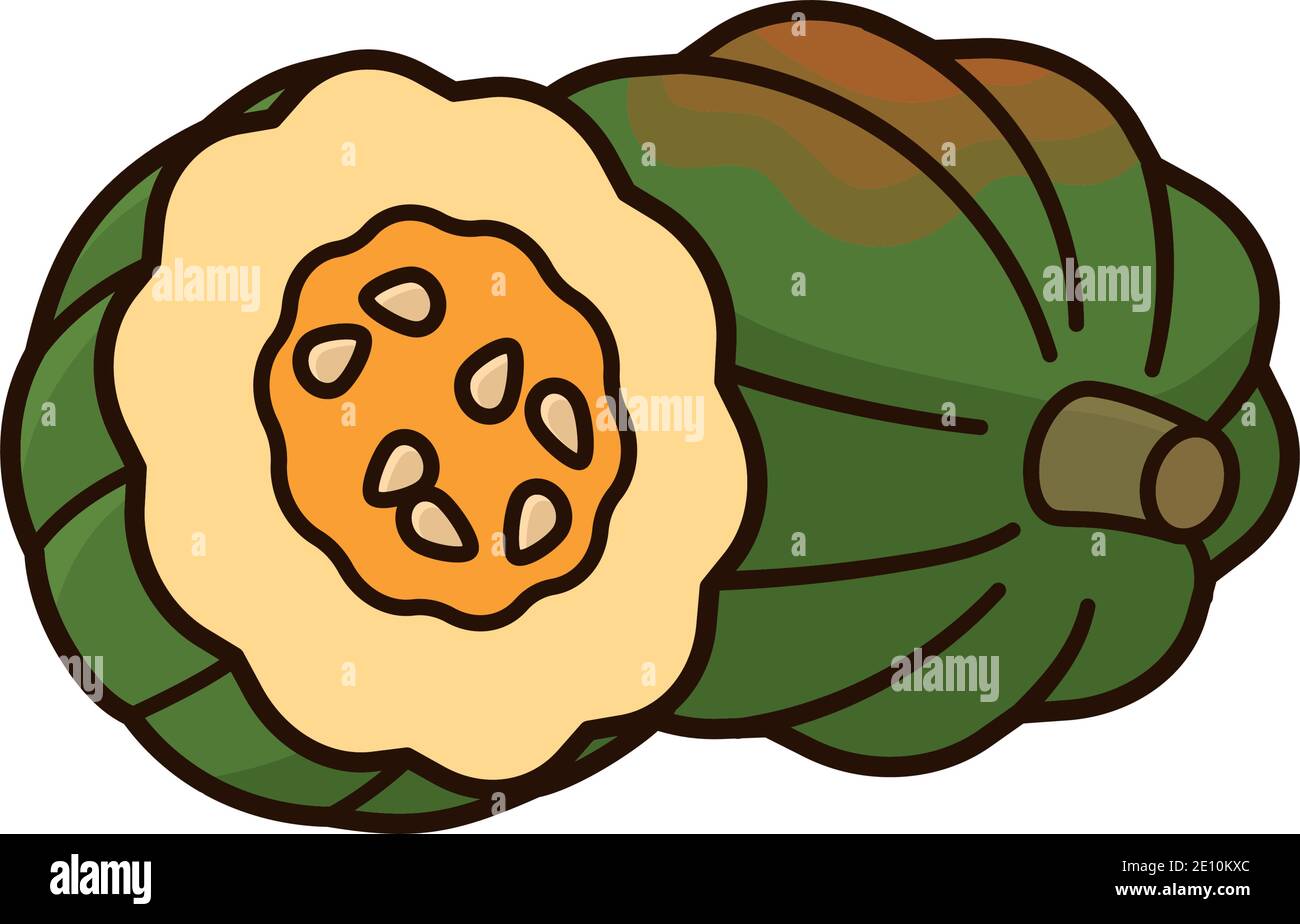 Acorn Squash isolierte Vektor-Illustration, ganze und halbe Frucht, für Acorn Squash Day am 7. September. Stock Vektor