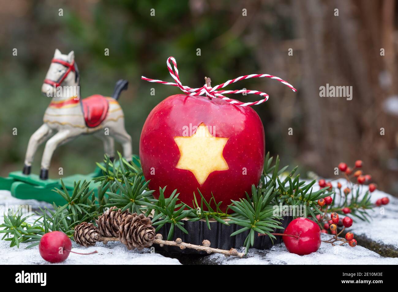 Weihnachtsapfel schneestern -Fotos und -Bildmaterial in hoher Auflösung –  Alamy