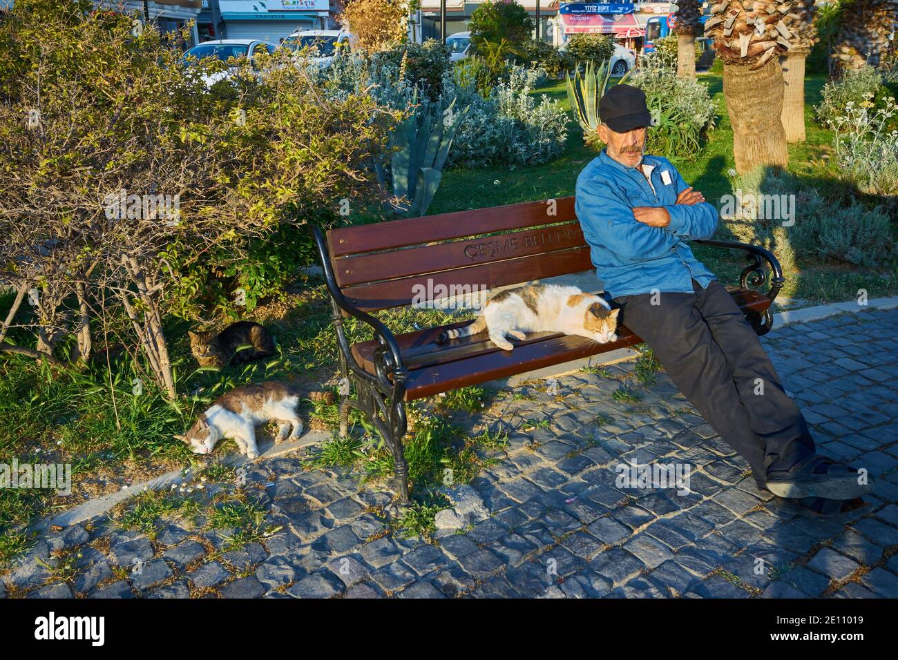 CESME -TÜRKEI - 25. APRIL 2018: Ein Mann und zwei Katzen sitzen auf einer Bank in Cesme, Izmir, Türkei Stockfoto