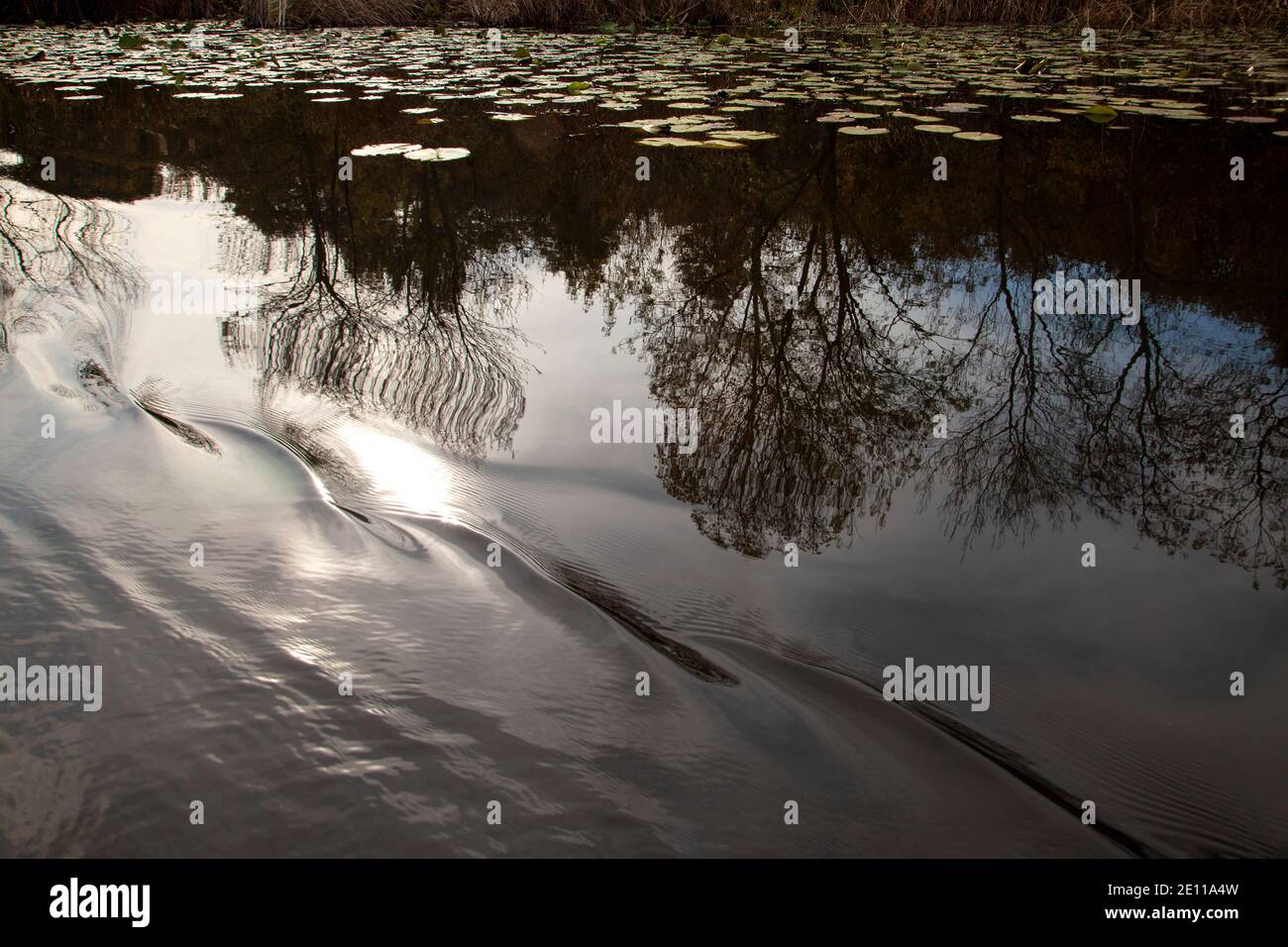 Naturlandschaften der Herbstflüsse spiegeln sich im Wasser von Die Himmelsfotos Stockfoto