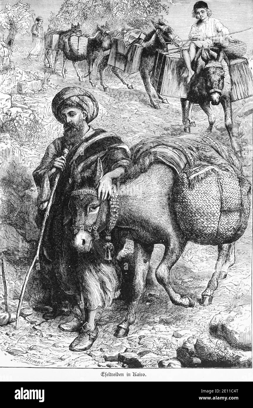 'Eseltreiben in Kairo', mehrere Esel werden mit Ladung bergab gefahren, Kairo, Ägypten, 'die Hauptstädte der Welt'. Breslau ca. 1987 Stockfoto