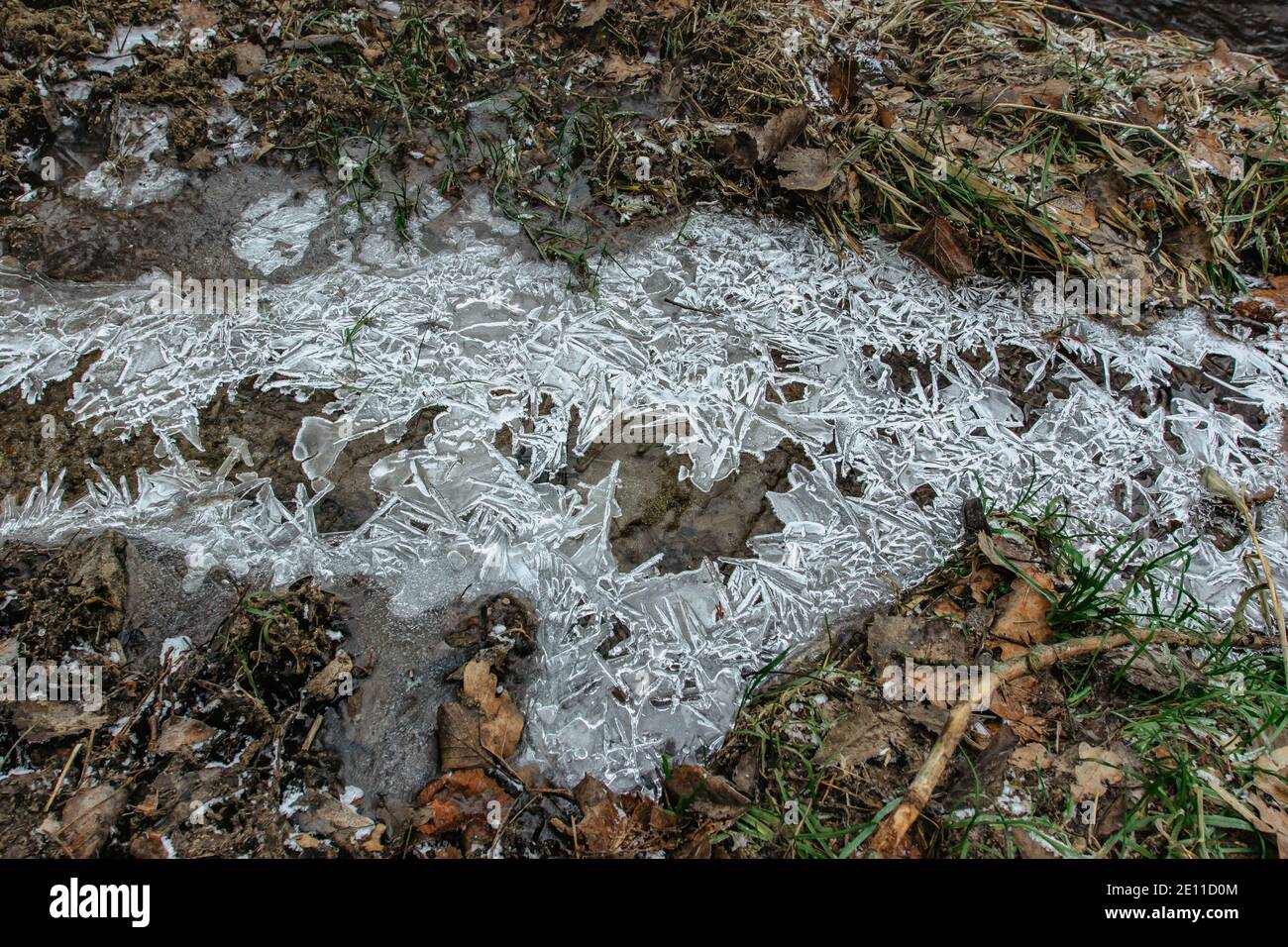 Abstrakter Winterhintergrund, rissige Eis auf gefrorener Pfütze. Eisfragmente auf gefrorenem Wasser. Das Eis zerbrochene Stücke.Eis auf einer gefrorenen Wasserpfütze im Winter Stockfoto