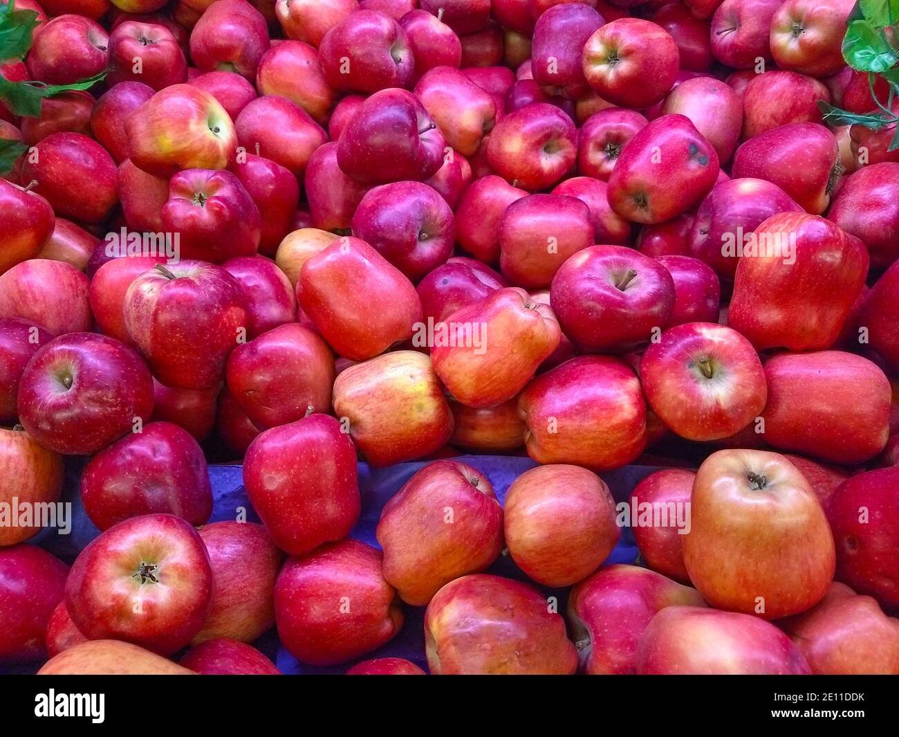 Neue Ernte eine Gruppe von roten Äpfeln im Supermarkt, Lebensmittelwirtschaft und Obstpreise auf dem Markt, essen rote Äpfel für eine gesunde Ernährung Stockfoto