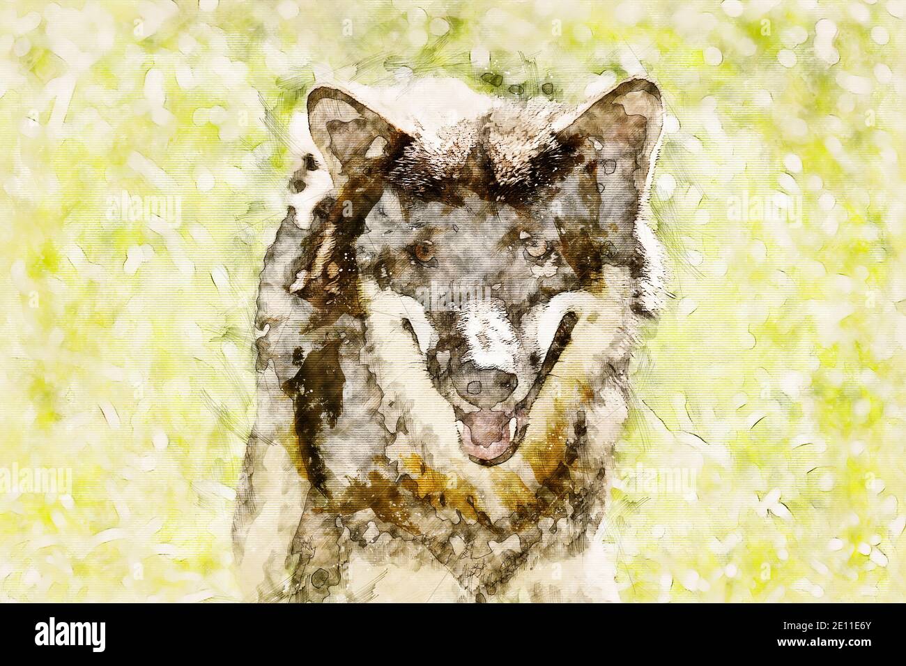 Digitale künstlerische Skizze eines Wolfes Stockfoto