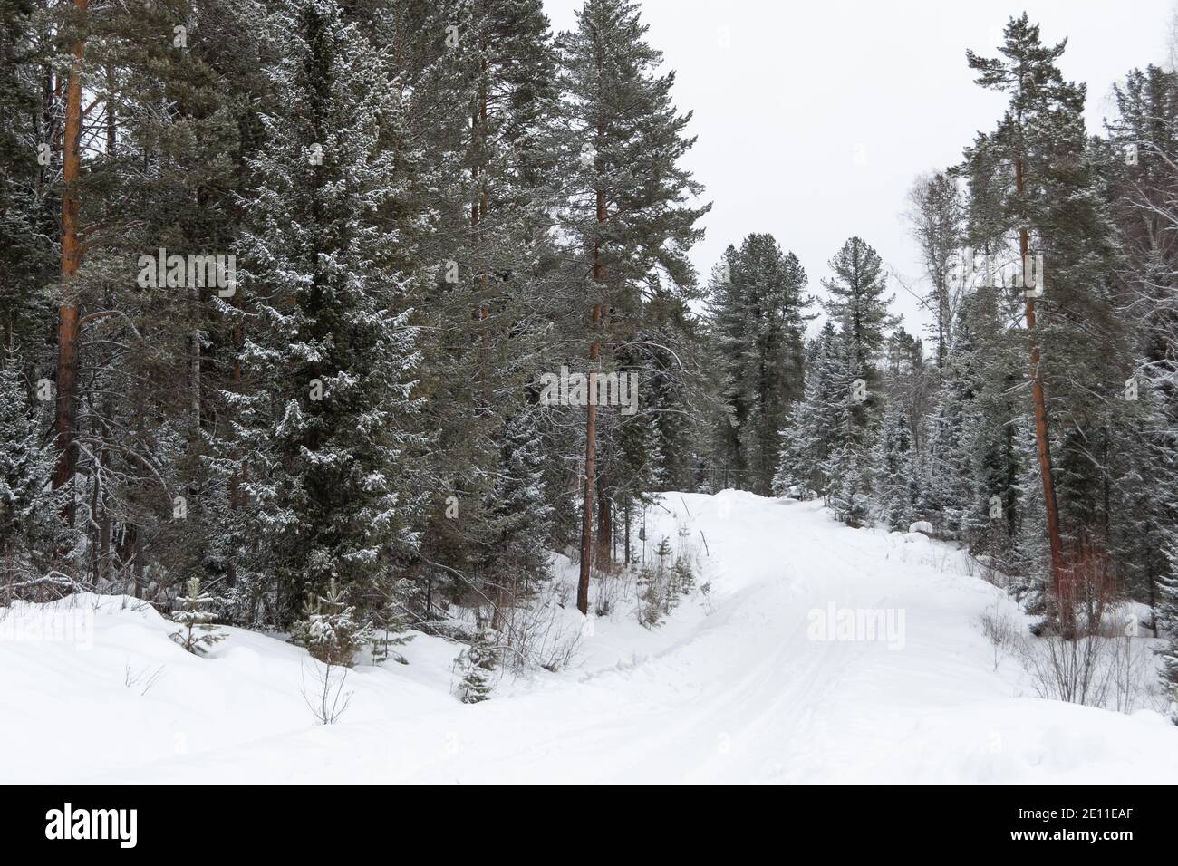 Verschneite, eisige Straße. Gefahr der Winterfahrt auf der Straße aus Eis Stockfoto
