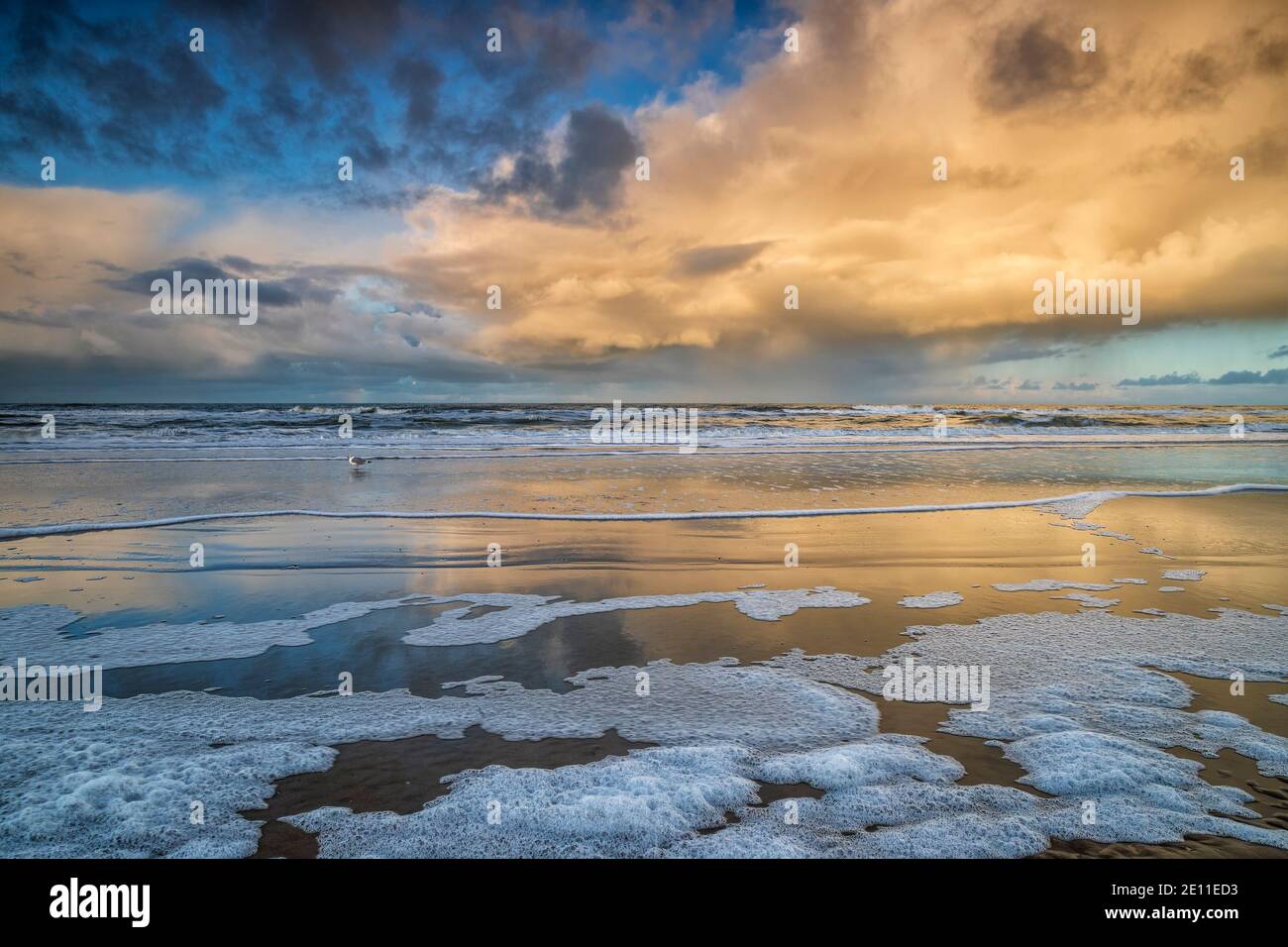 Sturm Regenwolke über der Küste bei Sonnenaufgang Stockfoto