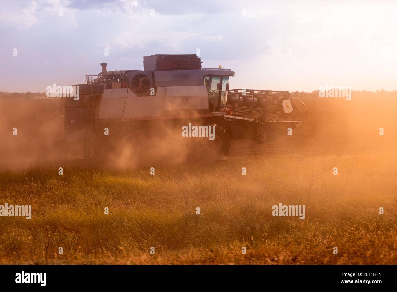 Mähdrescher auf dem Feld Ernte Weizen, Landwirtschaft, russische Felder, Ernte am Abend Stockfoto