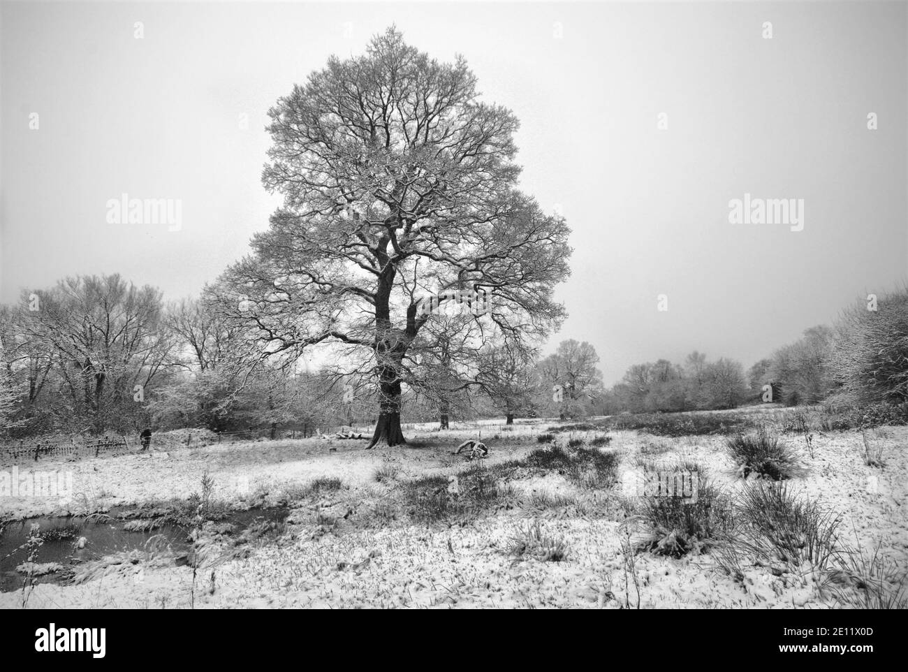 Winter in Cheshire Stockfoto