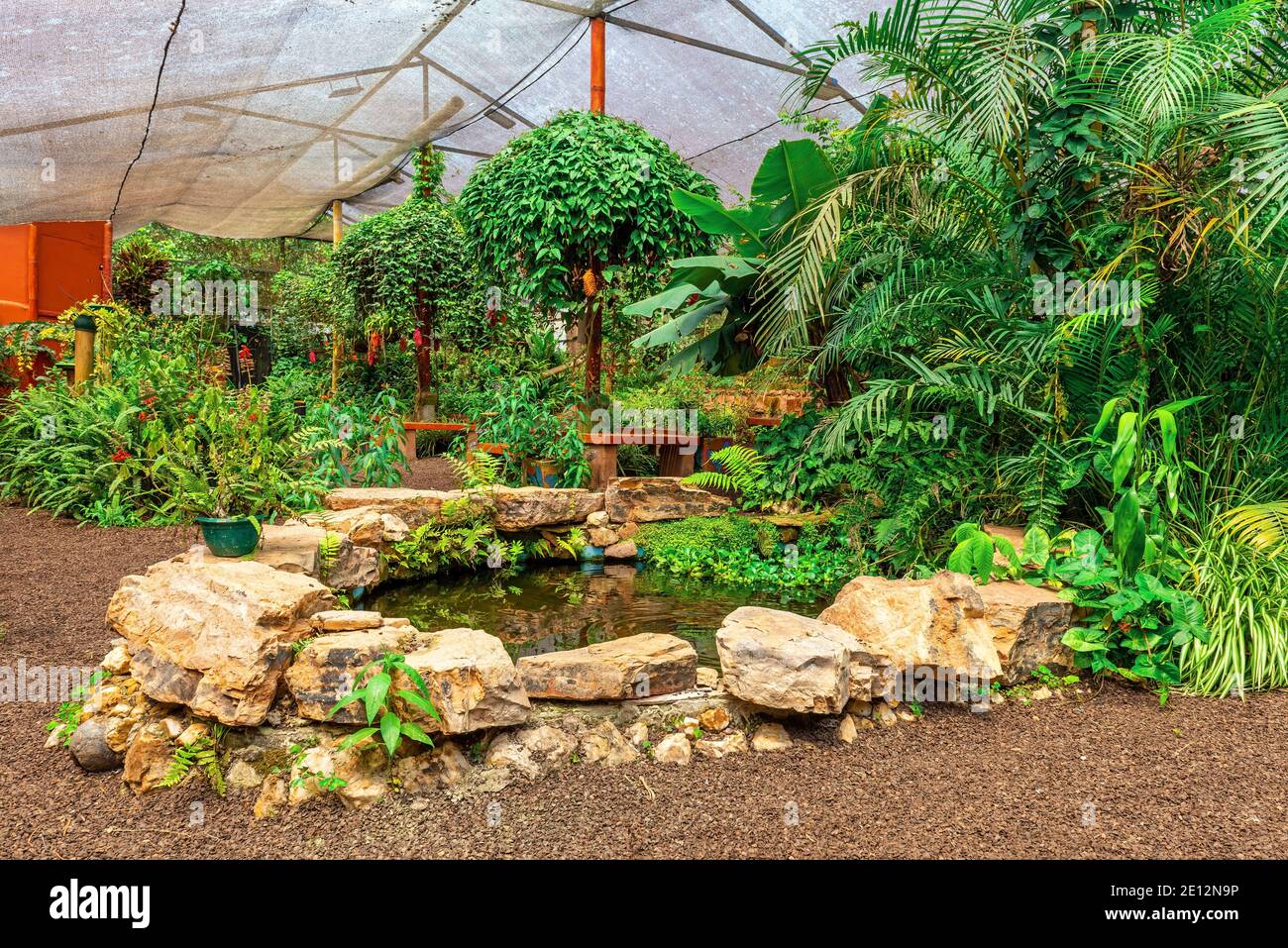 Schmetterlingsgarten in Mindo, Ecuador. Stockfoto