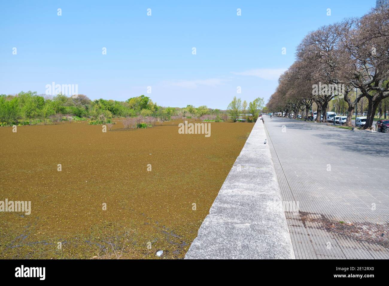 Lagune des ökologischen Reservats Costanera Sur und die Promenade daneben, in Buenos Aires, Argentinien, an einem sonnigen Frühlingsmorgen. Stockfoto