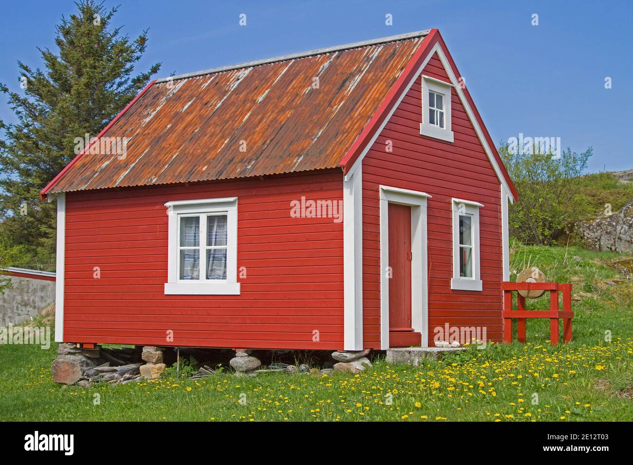 Kleines Norwegisches Haus Auf Stelzen Steht In Der Mitte Von Eine blühende Löwenzahn Wiese Stockfoto