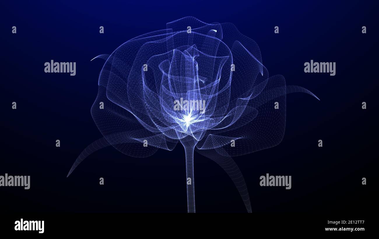 Schöne Rosenblume mit glühendem Licht und glänzenden Partikeln, 3D Concept Art, Nahaufnahme, 3D Render Stockfoto