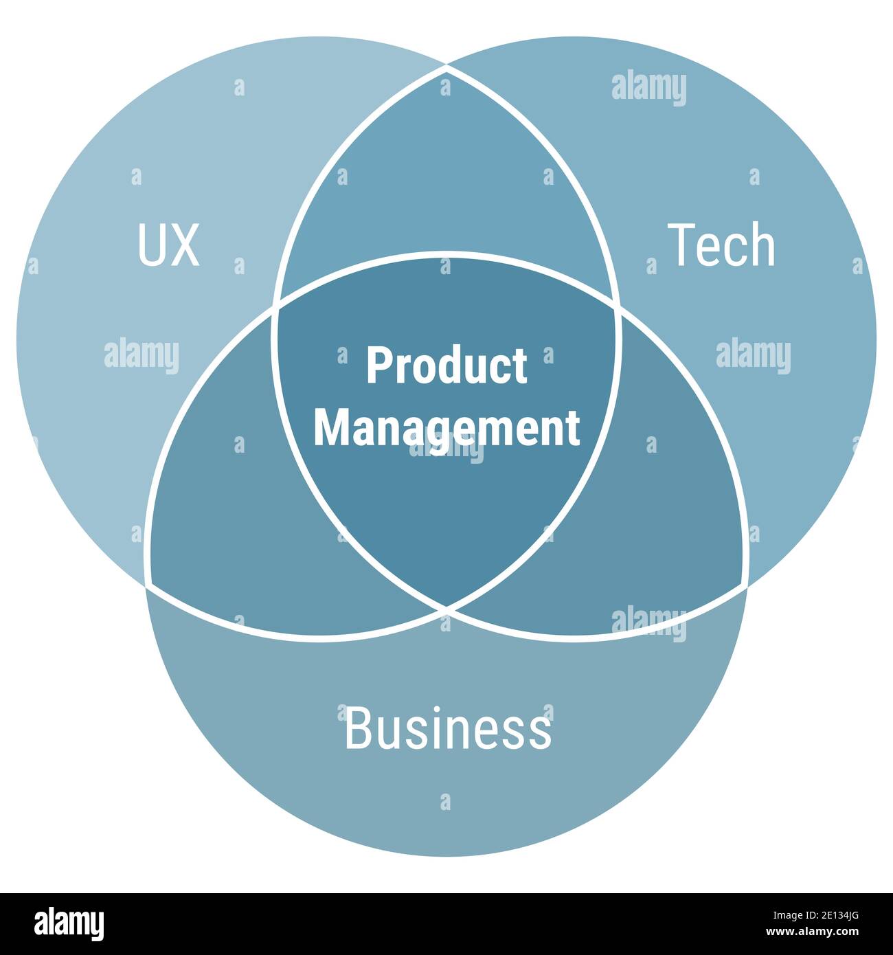 Schema Produktmanagement, blau auf weißem Hintergrund. Stock Vektor