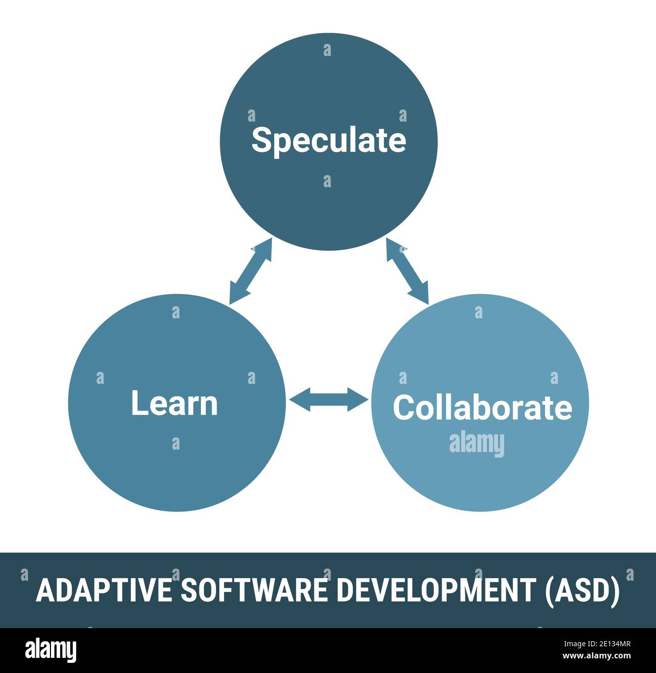 Adaptive Softwareentwicklung ASD-Methodik, Prozessvektorschema. Spekulieren, lernen und zusammenarbeiten Schleife Zyklus. Lizenzfreie Vektorgrafik Stock Vektor