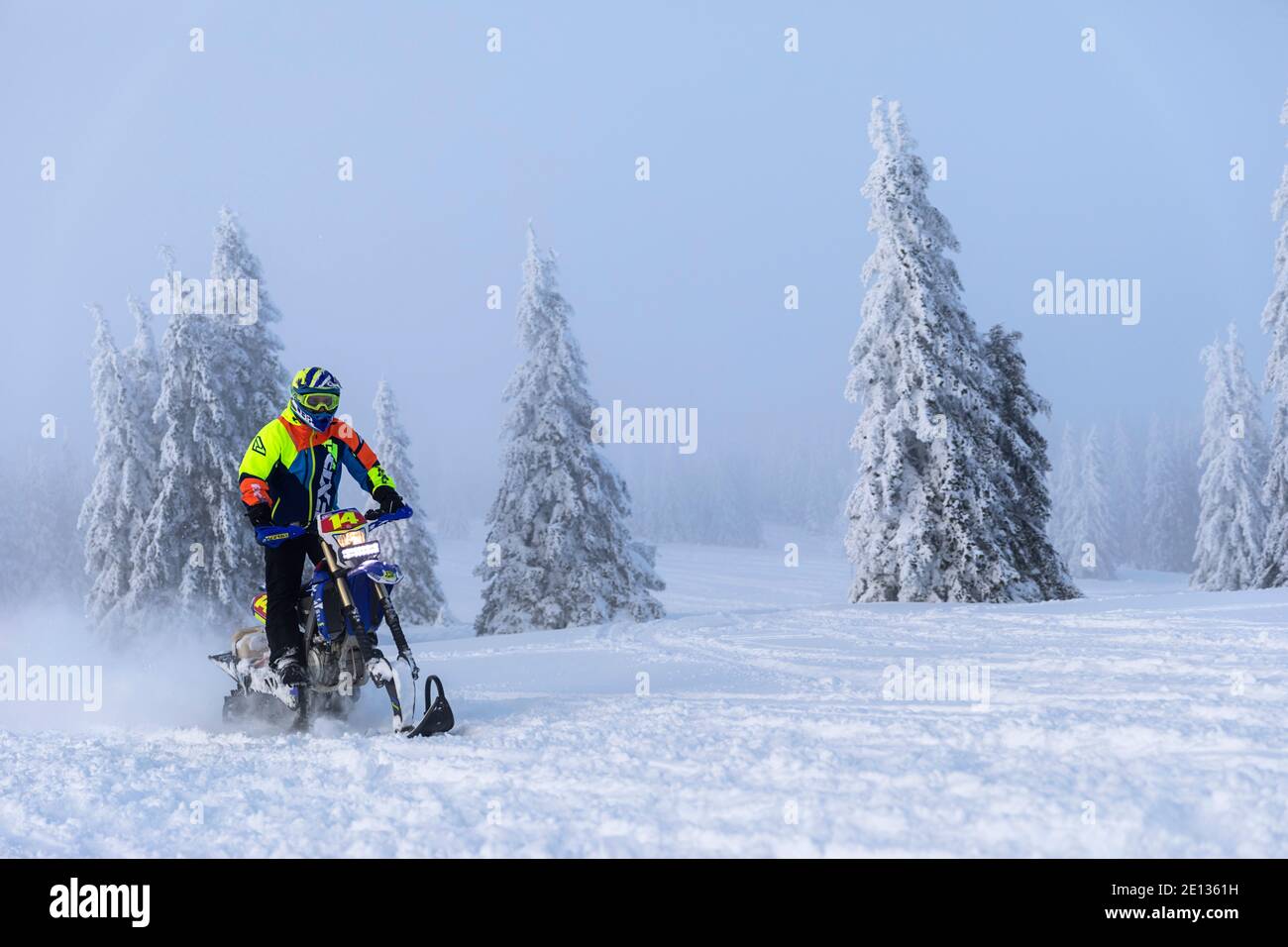 Snowmobiler genießt einen Ausflug an der frischen Luft auf Waldwegen, Kope, Slowenien Stockfoto