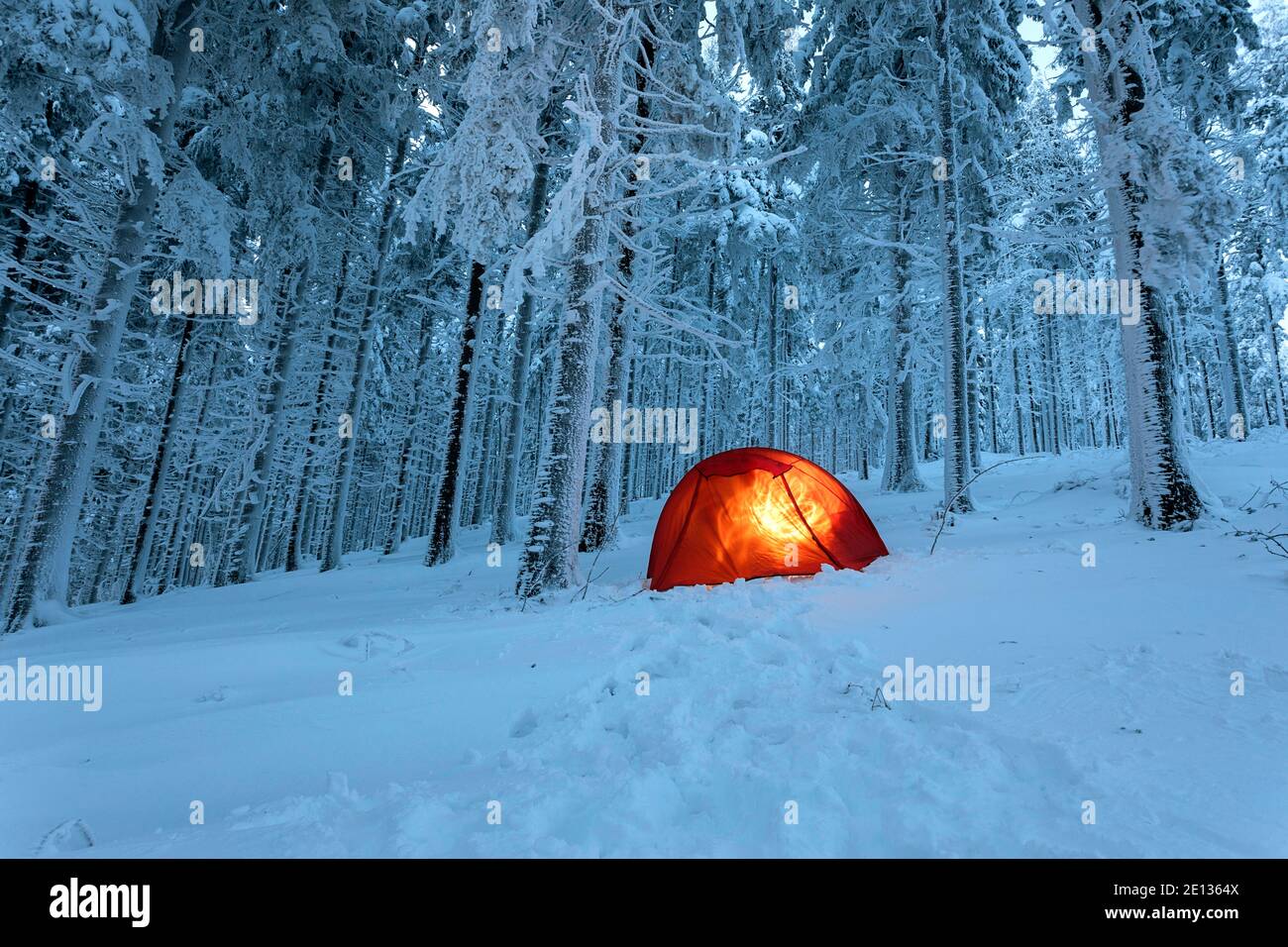 Brenntes wildes Zeltlager in der Dämmerung im Wald, schneebedeckte Bäume Stockfoto