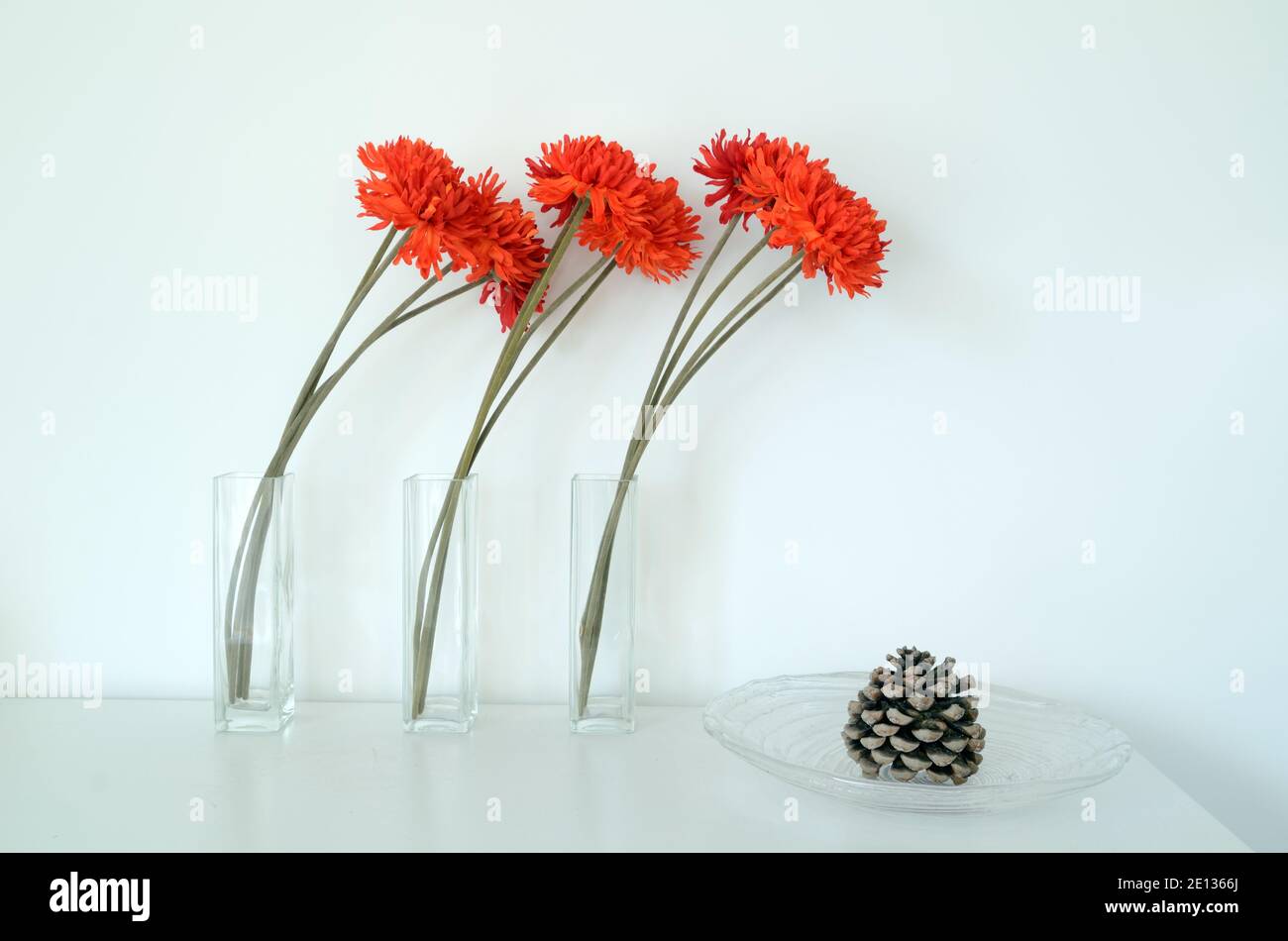 Abstract Stillleben mit drei orange-roten Nelken Blumen & Kiefer Kegel in Glas Vasen gegen weißen Hintergrund Stockfoto