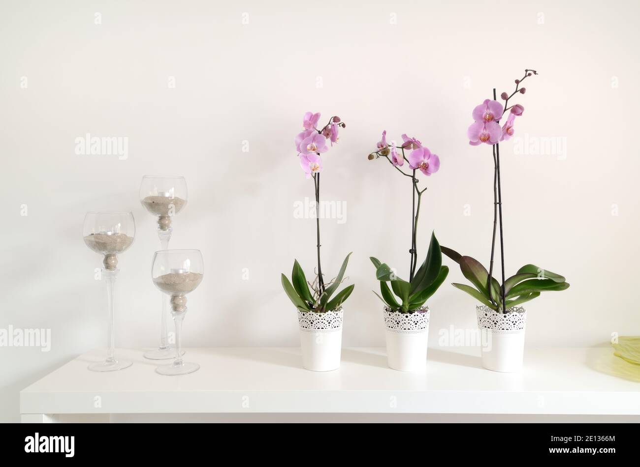 Abstract Stillleben mit drei Orchideen und Kerzen in Gläsern Vor Weißem Hintergrund Stockfoto