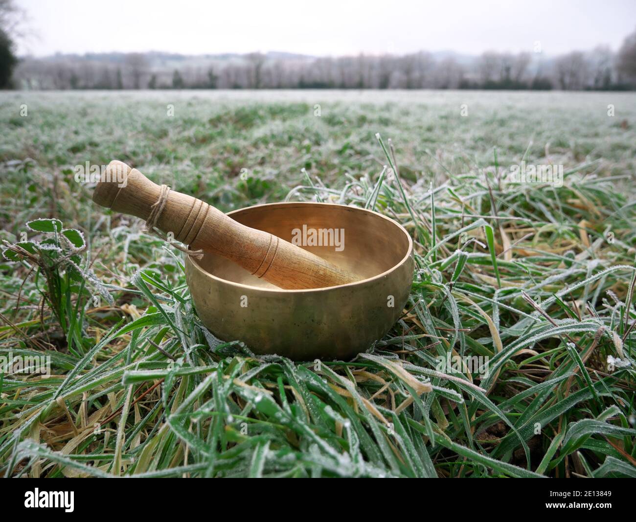 Singende Schüssel in einem verschneiten Garten gesetzt Stockfoto