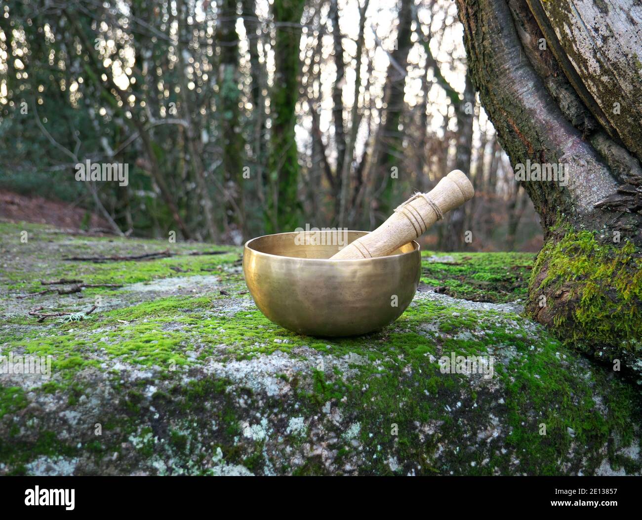 Eine singende Schüssel auf einem Felsen in der Mitte gesetzt Des Waldes Stockfoto